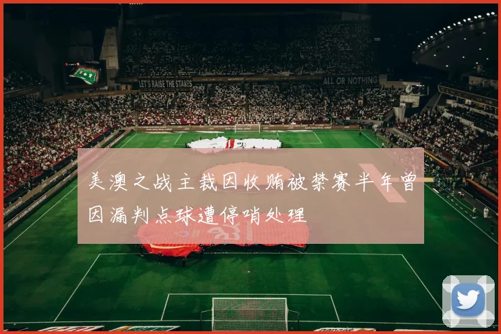 美澳之战主裁因收贿被禁赛半年曾因漏判点球遭停哨处理